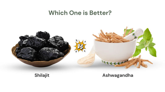 Shilajit vs Ashwagandha 