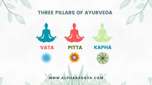 Three Pillars of Ayurvedic Wisdom: Exploring Vata, Pitta, and Kapha