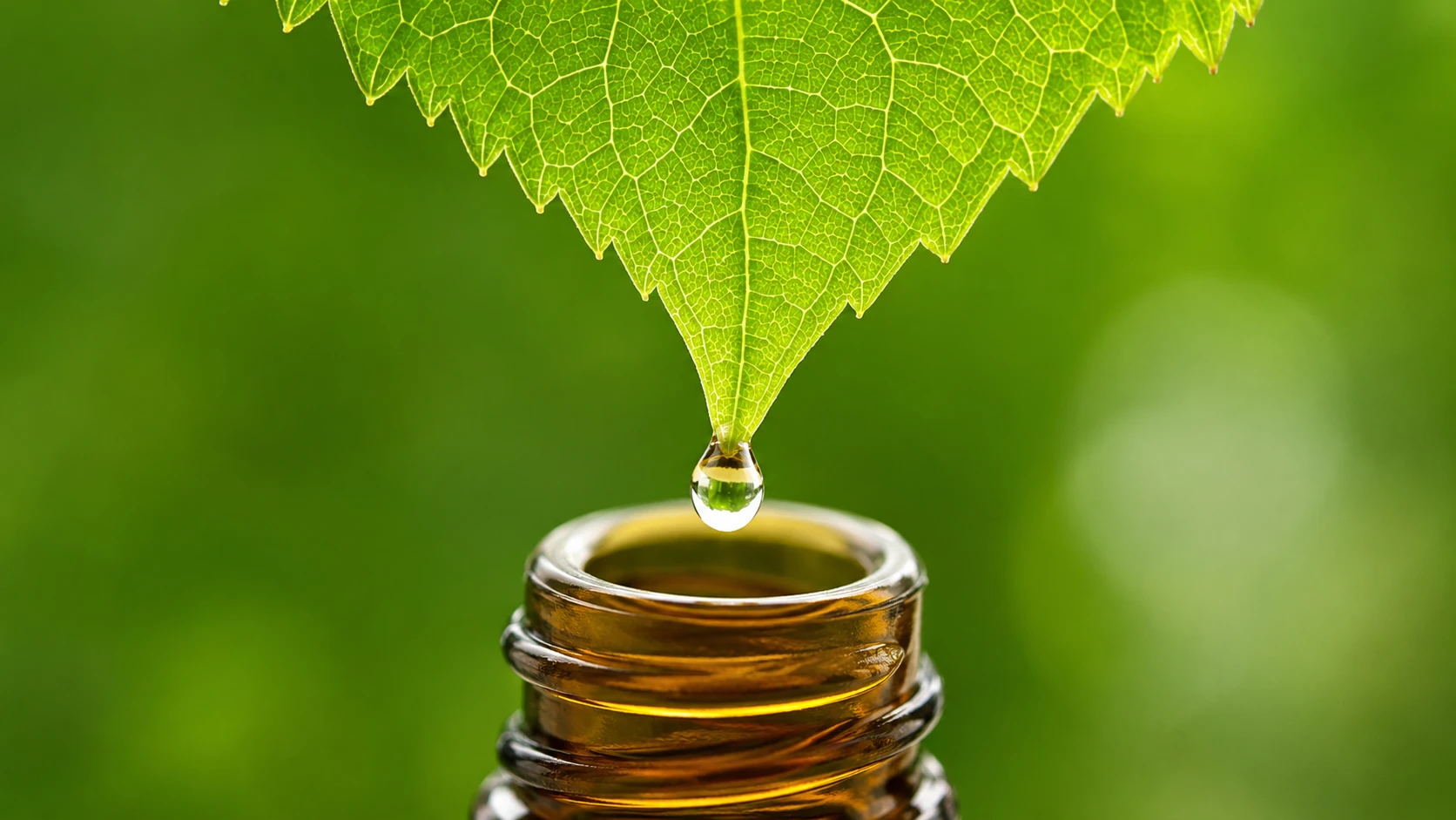 Extracts