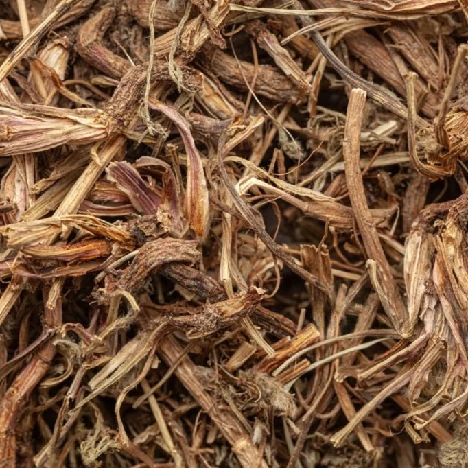 Akarkara / Pellitory Root (Anacyclus pyrethrum)