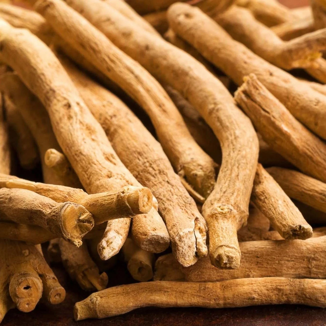 Ashwagandha (Withania somnifera)
