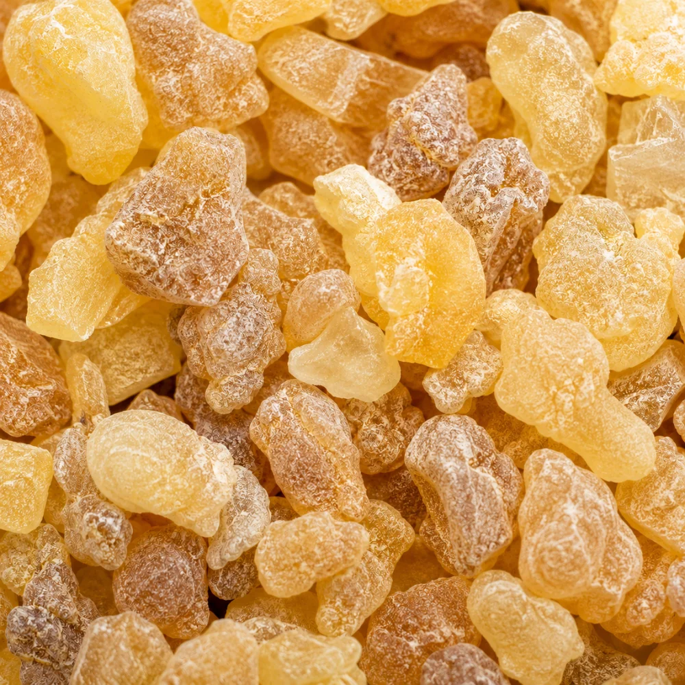 Boswellia (Boswellia serrata)