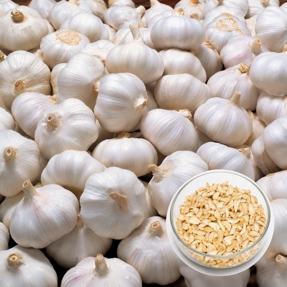 Garlic Flakes