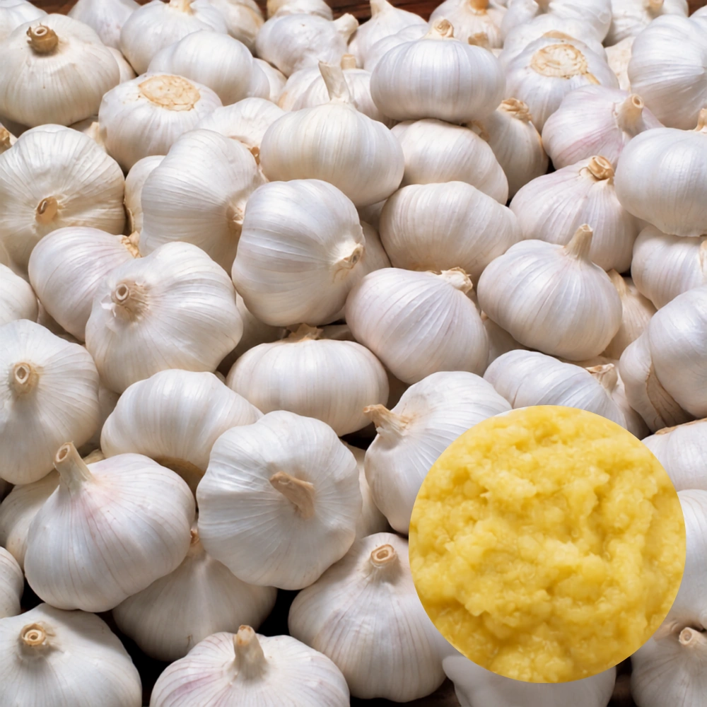 Garlic Paste
