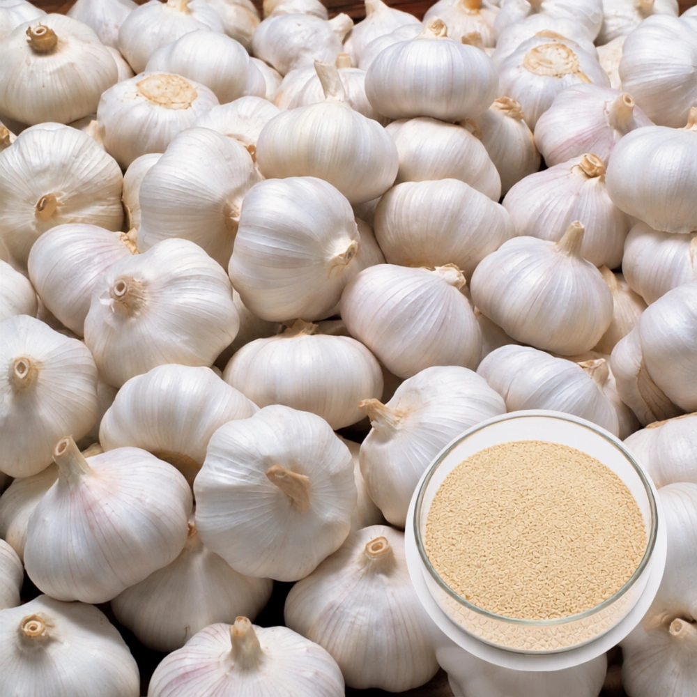 Garlic Powder