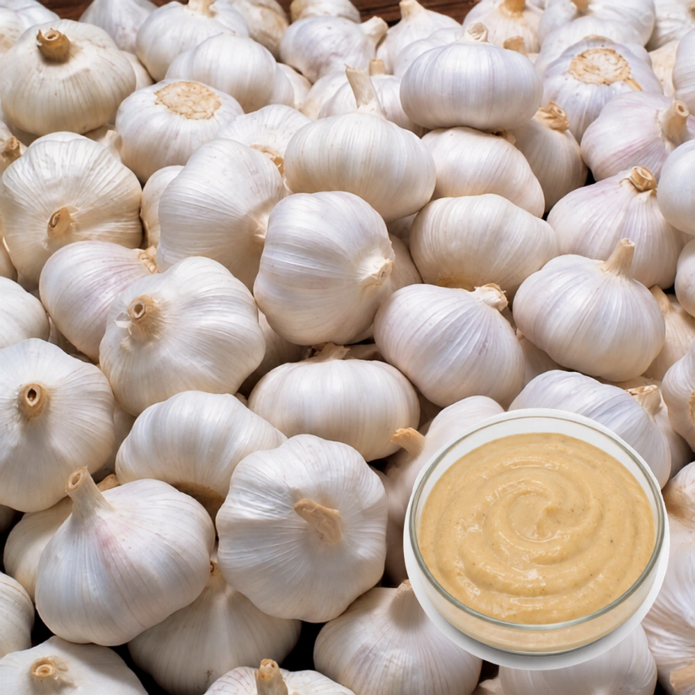 Garlic Sauce