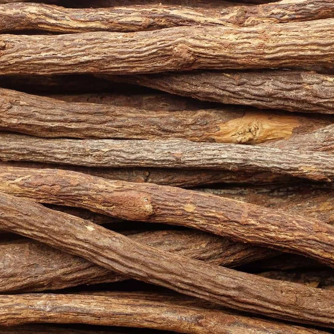Licorice (Glycyrrhiza glabra)