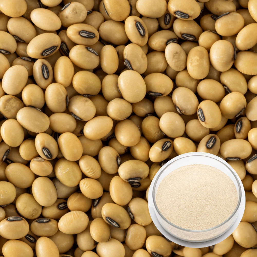 Soy Lecithin Powder