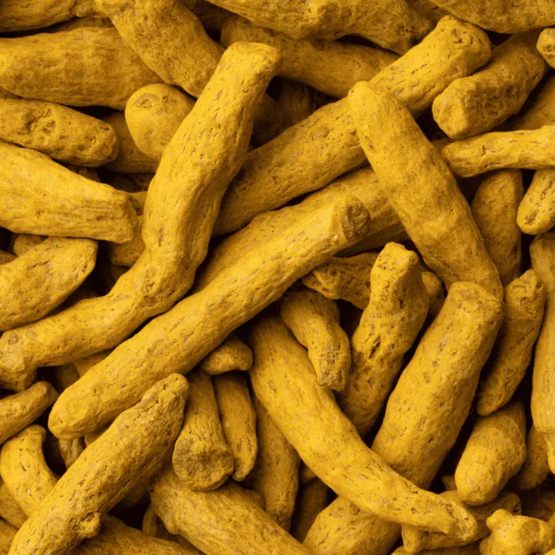 Turmeric (Curcuma longa)